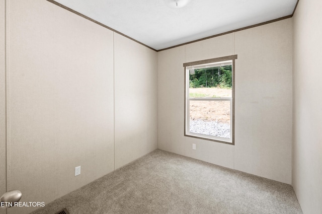 750 Bethlehem Rd, Lafollette, TN 37766 - unfurnished room featuring carpet and ornamental molding