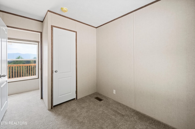 750 Bethlehem Rd, Lafollette, TN 37766 - unfurnished bedroom with ornamental molding and carpet