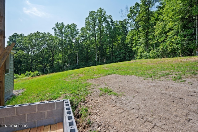 750 Bethlehem Rd, Lafollette, TN 37766 - view of yard