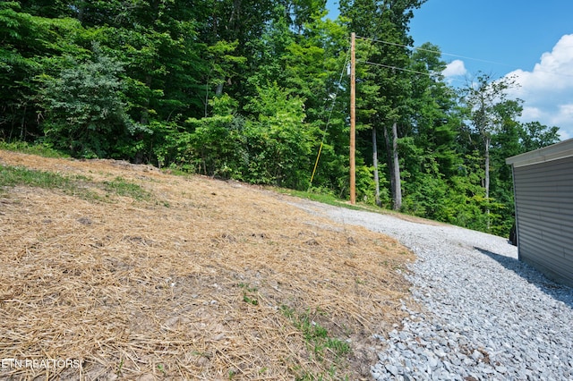 750 Bethlehem Rd, Lafollette, TN 37766 - view of yard