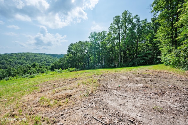 750 Bethlehem Rd, Lafollette, TN 37766 - mountain view with a forest