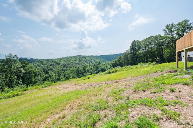 750 Bethlehem Rd, Lafollette, TN 37766 - mountain view with a forest