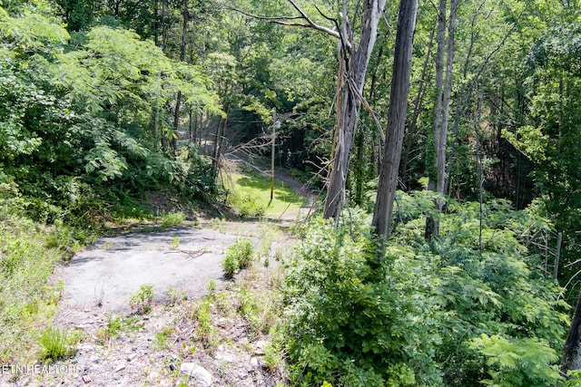 2327 Pleasant Vw, Sevierville, TN 37862 - photo 3