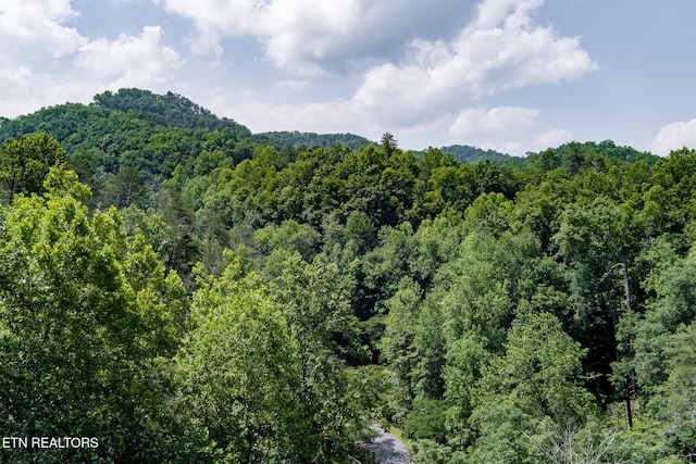 2327 Pleasant Vw, Sevierville, TN 37862 - photo 5