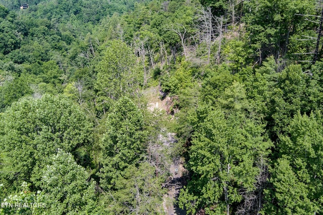 2327 Pleasant Vw, Sevierville, TN 37862 - photo 4