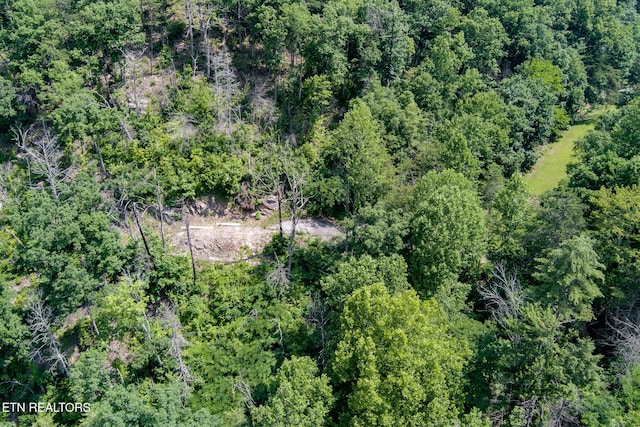 2327 Pleasant Vw, Sevierville, TN 37862 - photo 1
