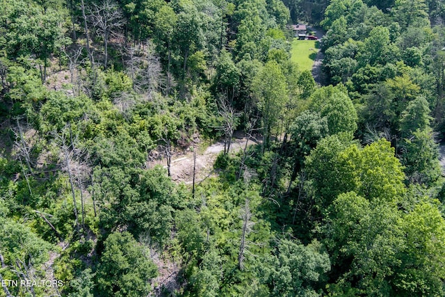 2327 Pleasant Vw, Sevierville, TN 37862 - photo 6