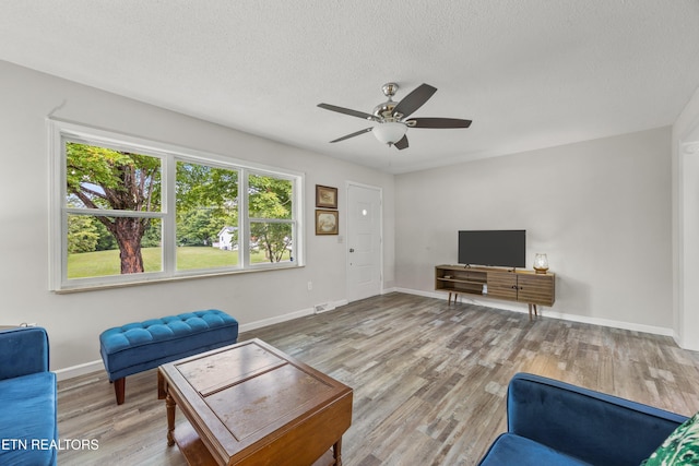 3408 Hackberry Rd, Knoxville, TN 37931 - living room with a ceiling fan, wood finished floors, and a textured ceiling