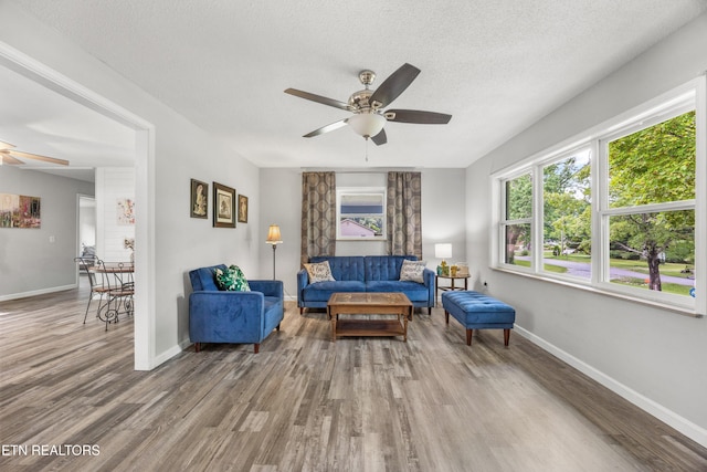 3408 Hackberry Rd, Knoxville, TN 37931 - living area with a ceiling fan, wood finished floors, and a textured ceiling