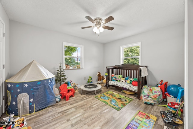3408 Hackberry Rd, Knoxville, TN 37931 - bedroom with multiple windows, wood finished floors, a ceiling fan, and a textured ceiling