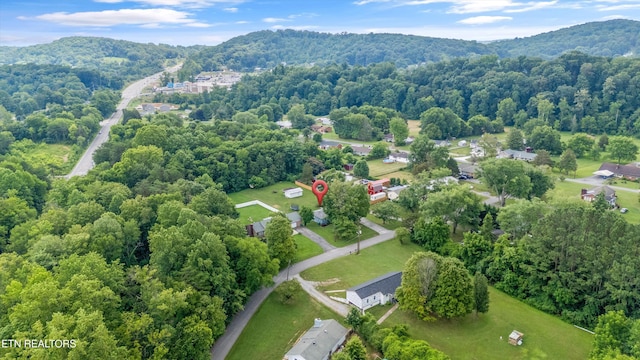 3408 Hackberry Rd, Knoxville, TN 37931 - view of property location featuring a forest