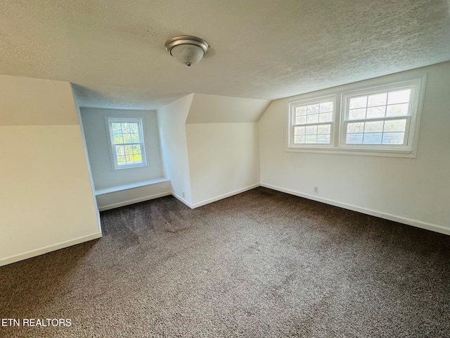 160 Clevenger Cut Off Rd, Newport, TN 37821 - bonus room with a textured ceiling, carpet, and vaulted ceiling