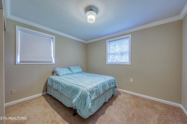 109 Wedgewood Rd, Oak Ridge, TN 37830 - bedroom featuring crown molding and carpet flooring