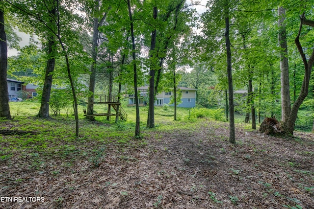 109 Wedgewood Rd, Oak Ridge, TN 37830 - view of yard