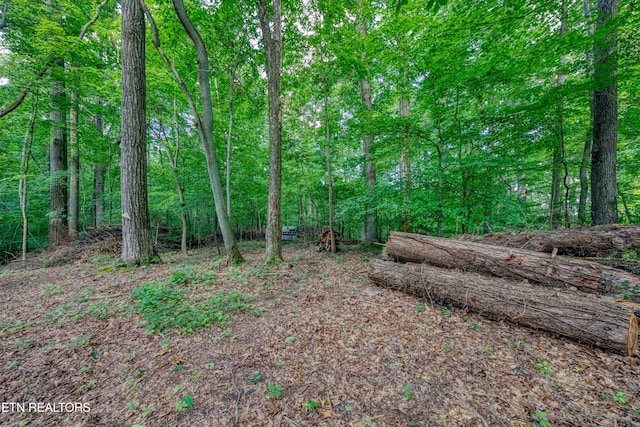 109 Wedgewood Rd, Oak Ridge, TN 37830 - view of tree filled area