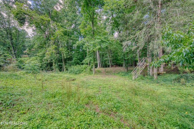 109 Wedgewood Rd, Oak Ridge, TN 37830 - view of yard with a wooded view