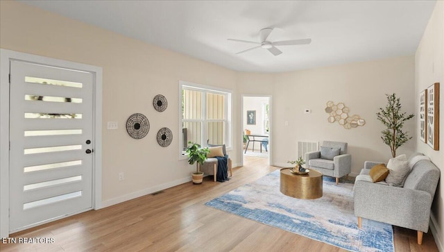 130 S Van Gilder St, Knoxville, TN 37915 - living room featuring ceiling fan and light wood-style flooring
