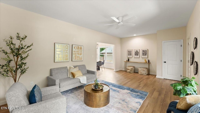 130 S Van Gilder St, Knoxville, TN 37915 - living area with wood finished floors, a ceiling fan, and recessed lighting
