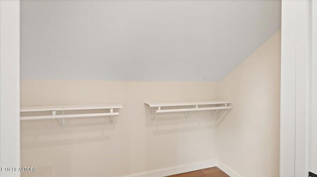130 S Van Gilder St, Knoxville, TN 37915 - walk in closet with wood finished floors and lofted ceiling