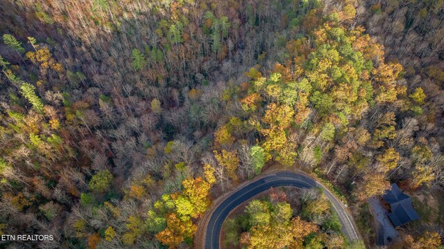 4416 Whetstone Rd, Sevierville, TN 37862 - photo 6