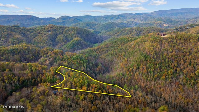 4416 Whetstone Rd, Sevierville, TN 37862 - photo 10