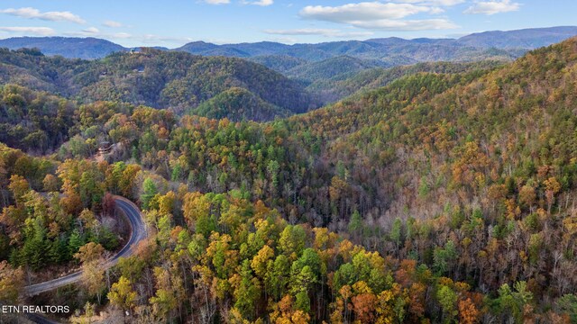 4416 Whetstone Rd, Sevierville, TN 37862 - photo 8