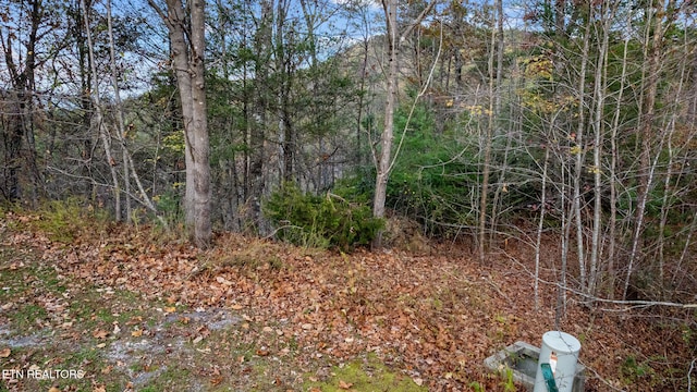 4416 Whetstone Rd, Sevierville, TN 37862 - photo 4