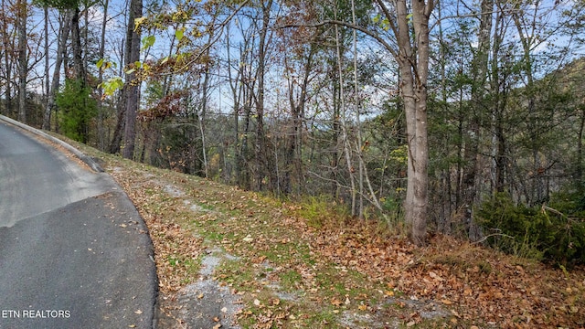 4416 Whetstone Rd, Sevierville, TN 37862 - photo 3