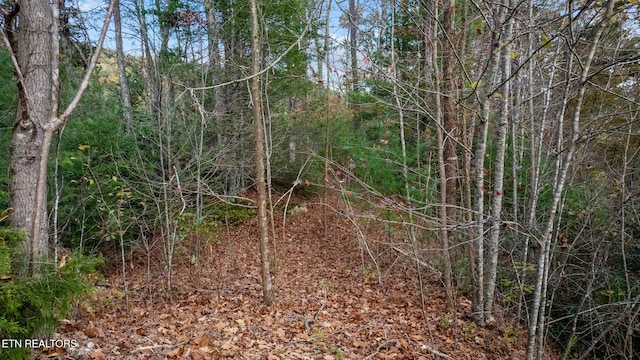 4416 Whetstone Rd, Sevierville, TN 37862 - photo 5