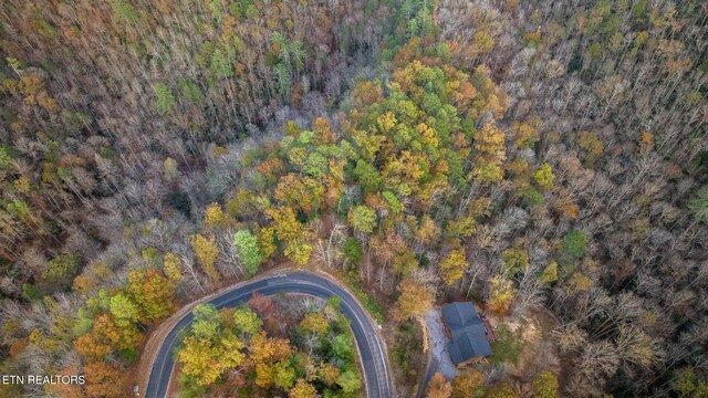 4416 Whetstone Rd, Sevierville, TN 37862 - photo 7