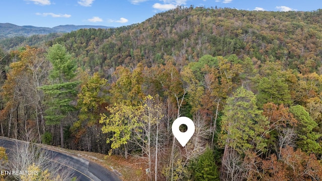 4416 Whetstone Rd, Sevierville, TN 37862 - photo 2