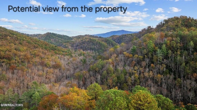 4416 Whetstone Rd, Sevierville, TN 37862 - photo 1
