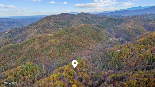 4416 Whetstone Rd, Sevierville, TN 37862 - photo 9