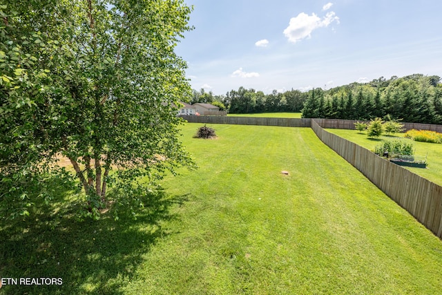 933 Mossy Grove Ln, Maryville, TN 37801 - photo 47