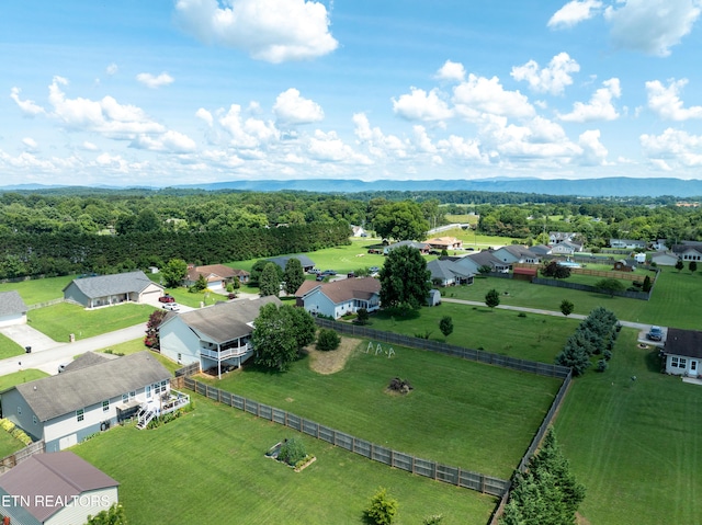 933 Mossy Grove Ln, Maryville, TN 37801 - photo 43
