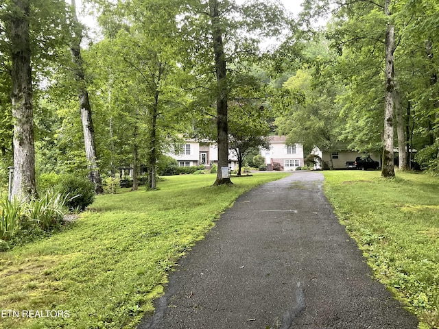 630 Bush Rd, Clinton, TN 37716 - photo 3