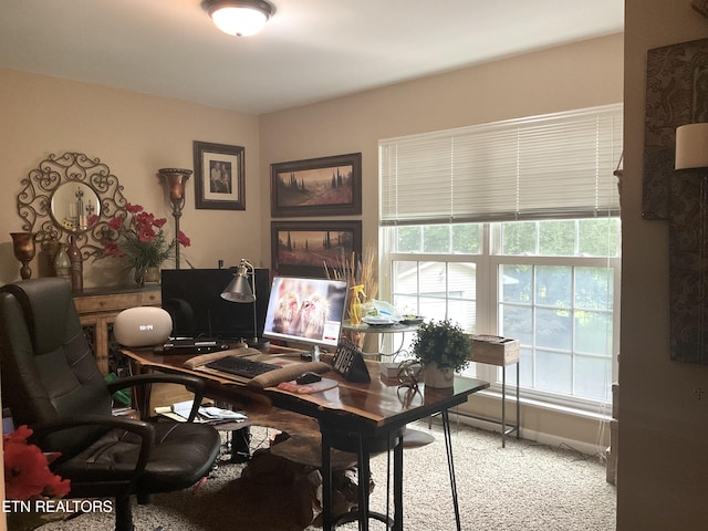 630 Bush Rd, Clinton, TN 37716 - photo 25