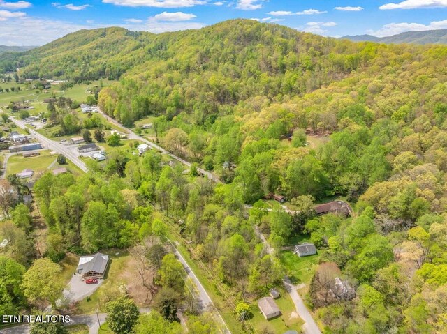 LOTS1 Hen Valley Rd, Oliver Springs, TN 37840 - photo 5