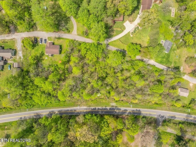 LOTS1 Hen Valley Rd, Oliver Springs, TN 37840 - photo 4