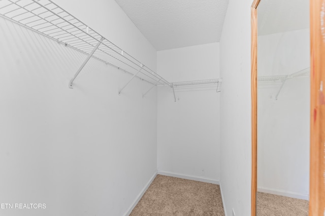 8016 Stablegate Way, Powell, TN 37849 - spacious closet featuring light carpet