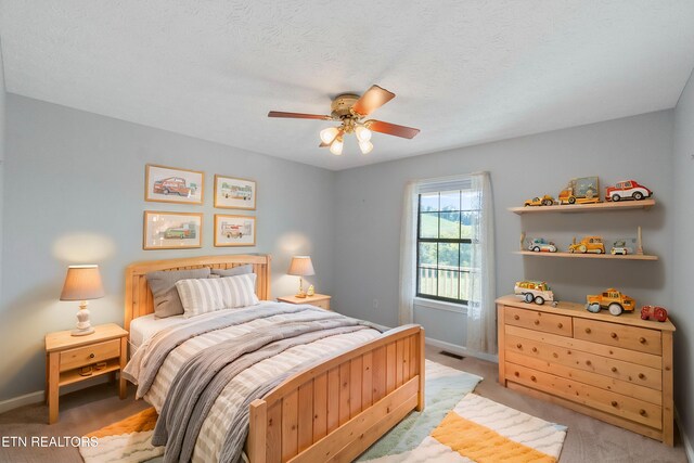 887 Berry Rd, Bulls Gap, TN 37711 - photo 13
