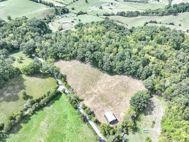 887 Berry Rd, Bulls Gap, TN 37711 - photo 30