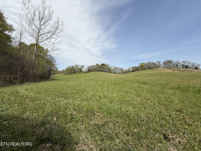887 Berry Rd, Bulls Gap, TN 37711 - photo 51
