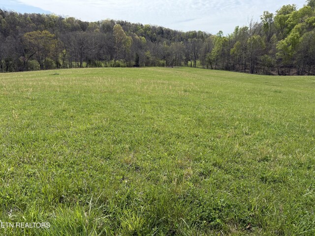 887 Berry Rd, Bulls Gap, TN 37711 - photo 52