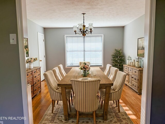 887 Berry Rd, Bulls Gap, TN 37711 - photo 10