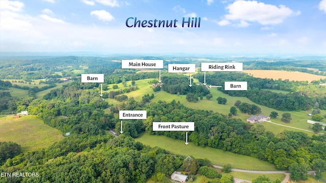 925 Lee Shirley Rd, Maryville, TN 37801 - photo 5