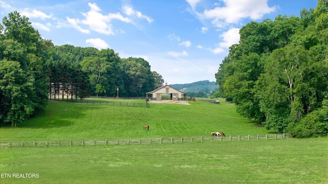 925 Lee Shirley Rd, Maryville, TN 37801 - photo 55