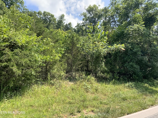 Eagles Rdg, New Tazewell, TN 37825