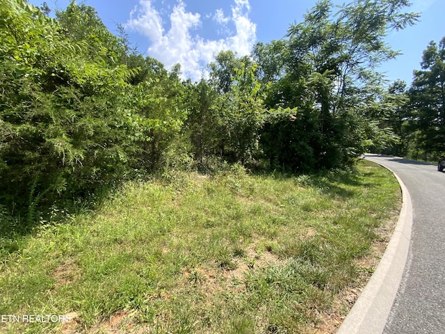 Eagles Rdg, New Tazewell, TN 37825