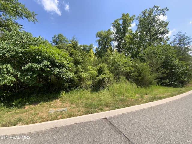 Eagles Rdg, New Tazewell, TN 37825
